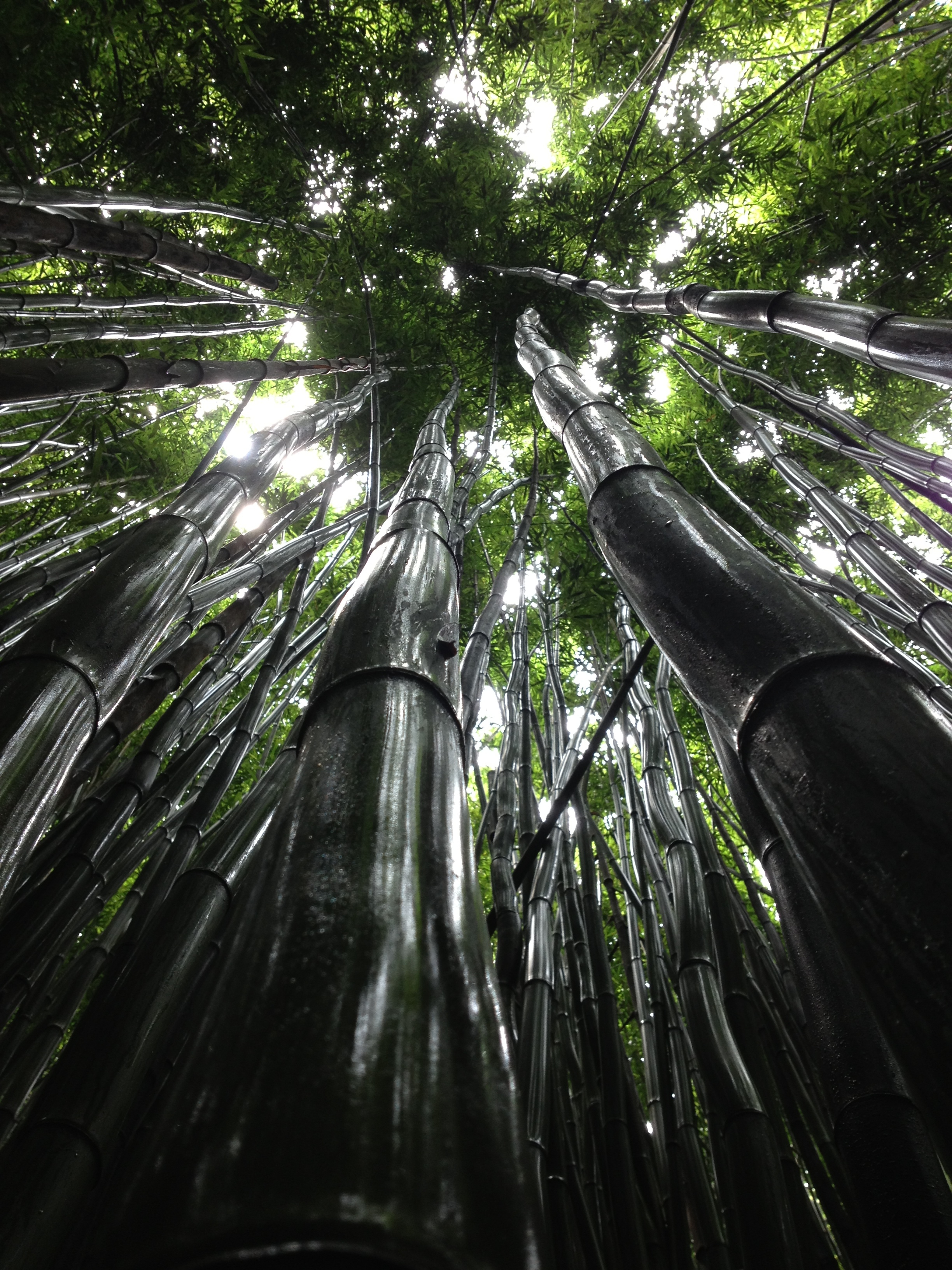 Anxiety &amp; IVF: Acupuncture Is Your Answer