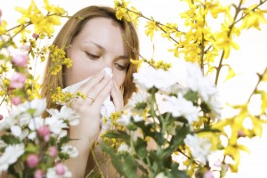 Allergy