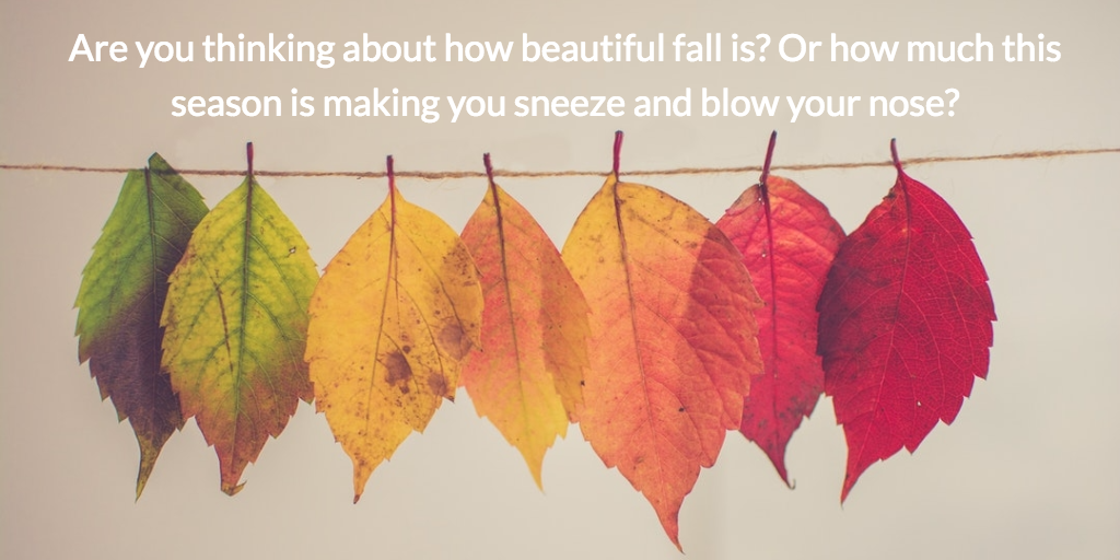 Fall_GA.png