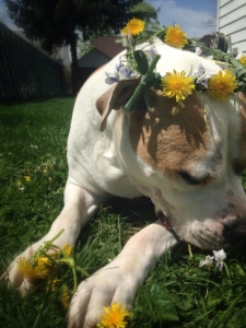 photo (11)